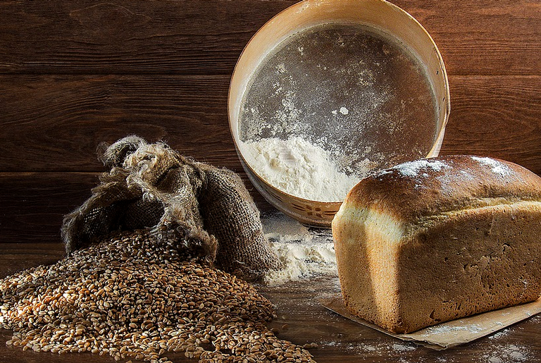 Seis mil anos de pão: Qual sua importância para a humanidade?