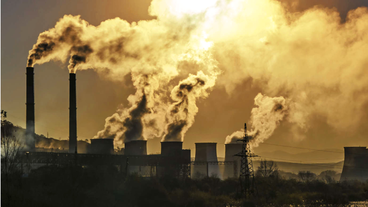 Dia do Meio Ambiente: A humanidade tem apenas 120 anos para combater as mudanças climáticas