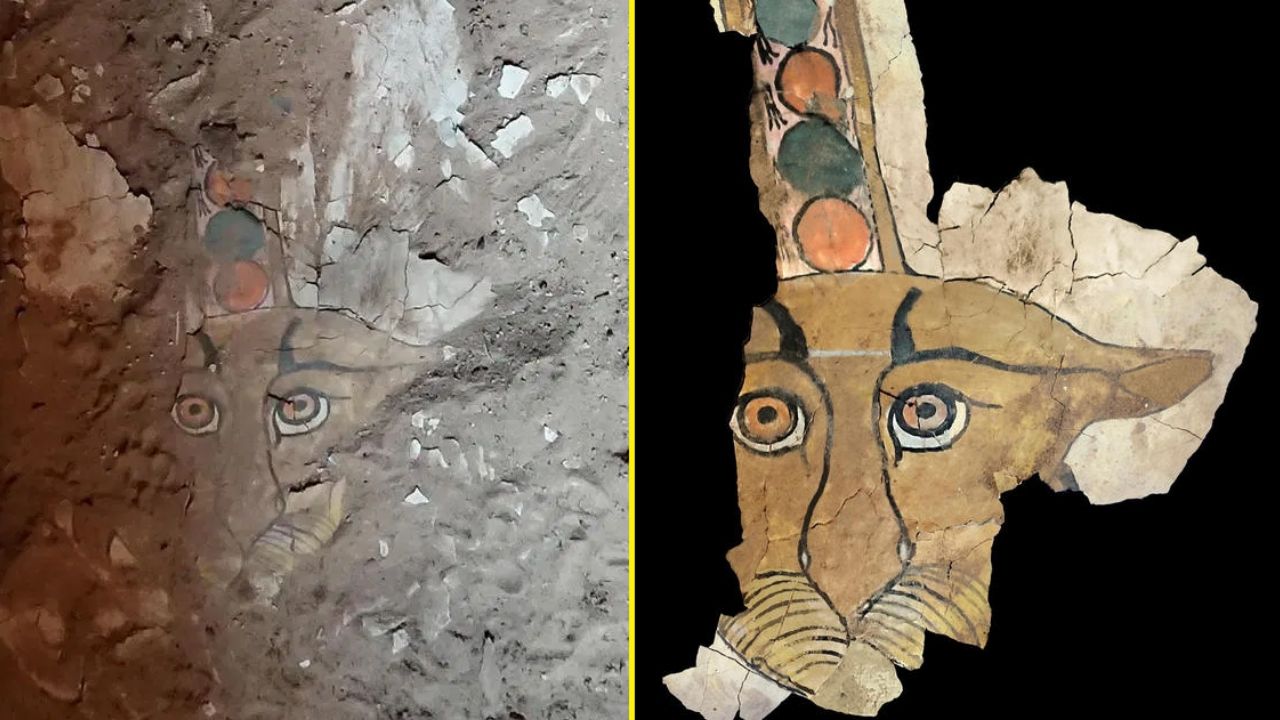 Sarcófago com desenho de Leopardo guardião com mais de 1.700 anos é descoberto e restaurado no Egito