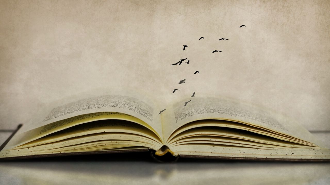De Jane Austen a Isabel Allende: 5 romances históricos envolventes