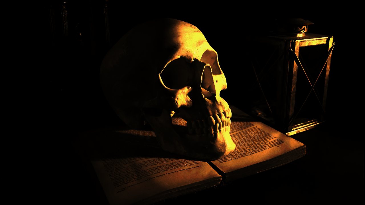 Tendência excêntrica: quando livros eram encapados com pele humana