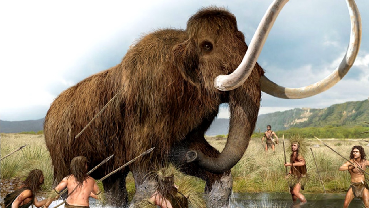 Encontrado vestígio mais antigo de caça de mamutes, na Polônia
