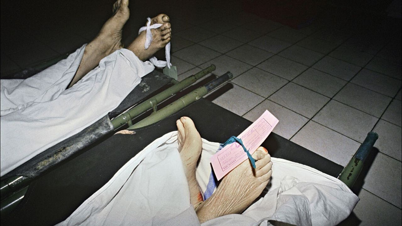 Cabeças empilhadas, corpos desmembrados: Descaso em necrotério na Universidade de Paris gera escândalo