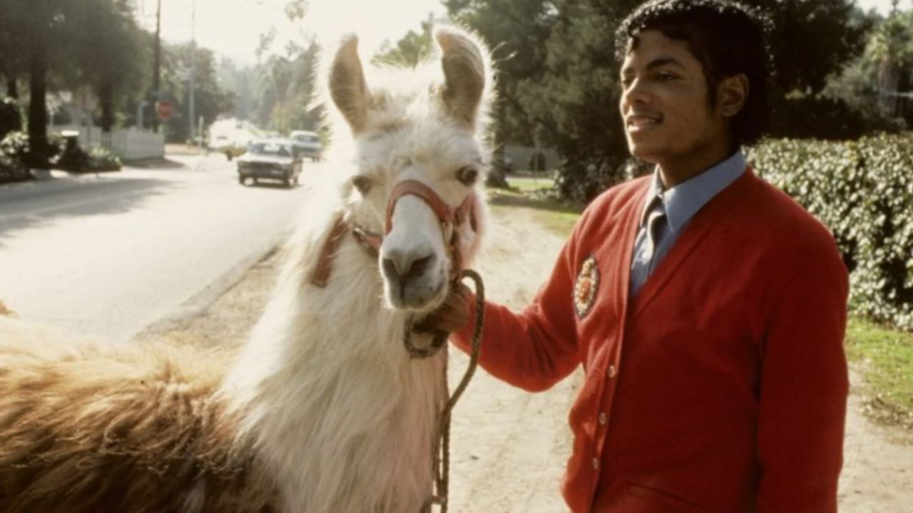 Quando uma lhama abalou a amizade de Michael Jackson e Freddie Mercury