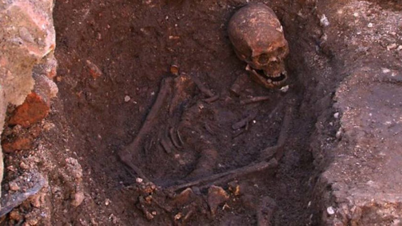 Traições e reviravolta : Como os restos de Ricardo III poderiam colocar a família imperial de cabeça pra baixo