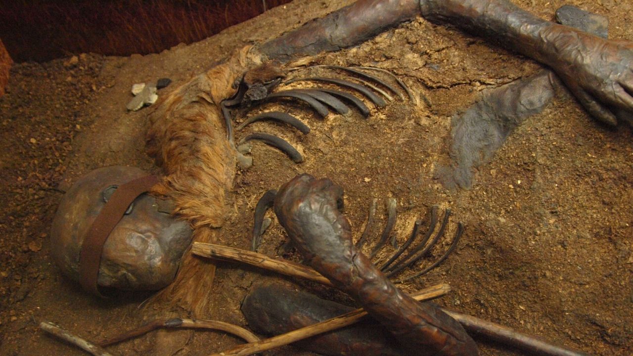 A intrigante saga do cadáver mumificado de Windeby I
