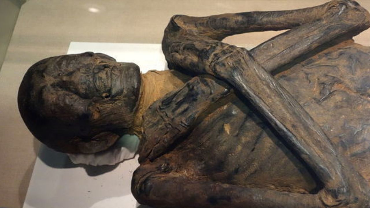 Sexo trocado e dúvida milenar: a intrigante múmia de Ankhefenmut