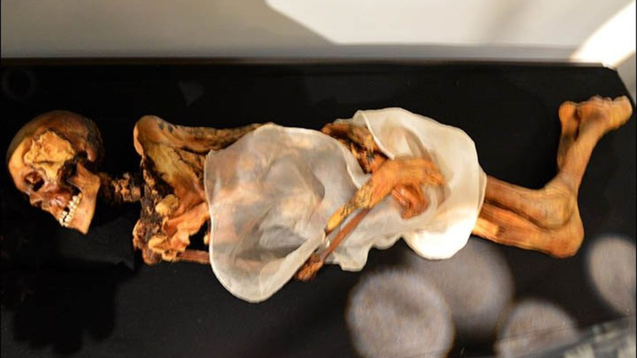 Dama de Gelo: a múmia siberiana com tatuagens de 6 mil anos em seu esqueleto