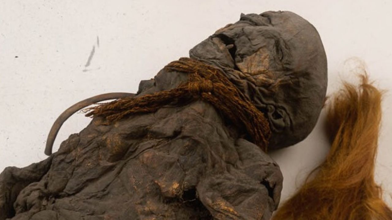 Sacrifício humano, mumificação e deterioração: a intrigante saga da Garota de Yde