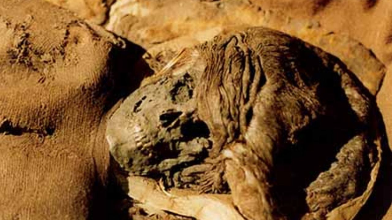 A mulher de Skrydstrup: encontrada em um cemitério na Dinamarca, a múmia é motivo de curiosidade