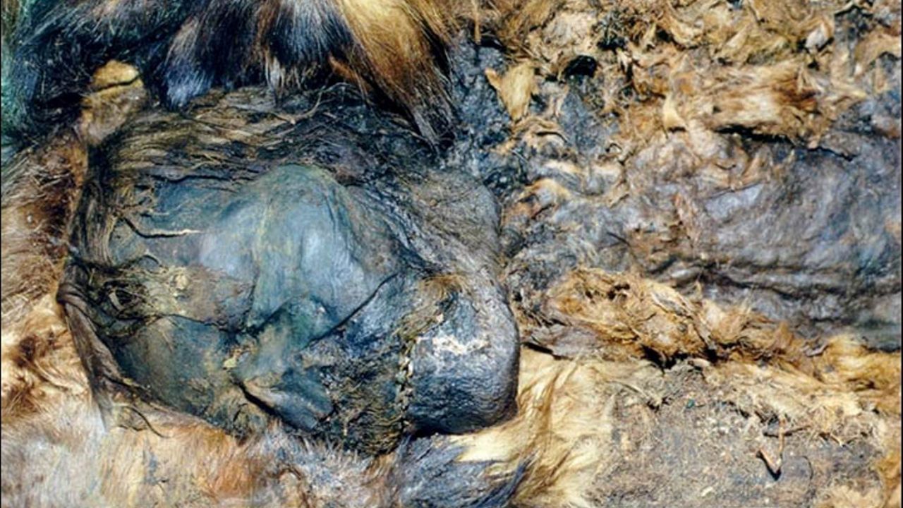 Máscara de cobre e rituais místicos: as intrigantes múmias da Rússia