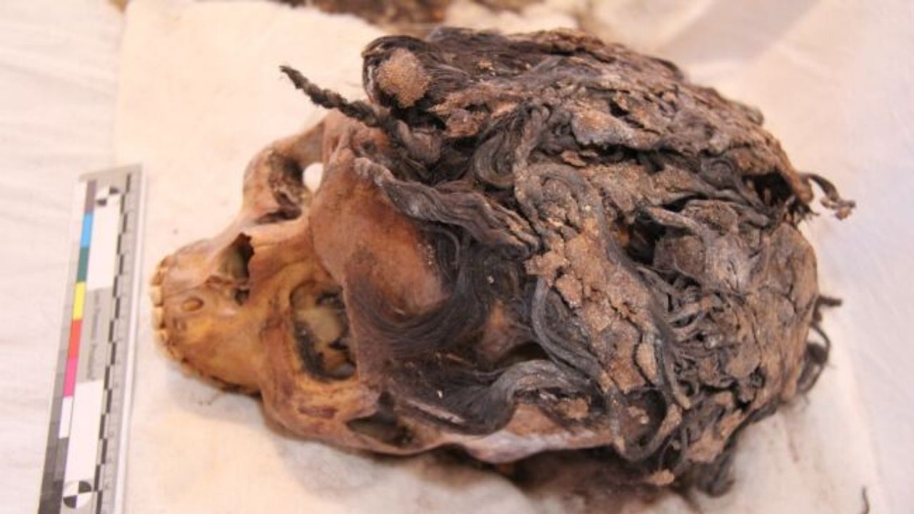 Apliques, tinturas e tranças: a curiosa saga das múmias de Amarna
