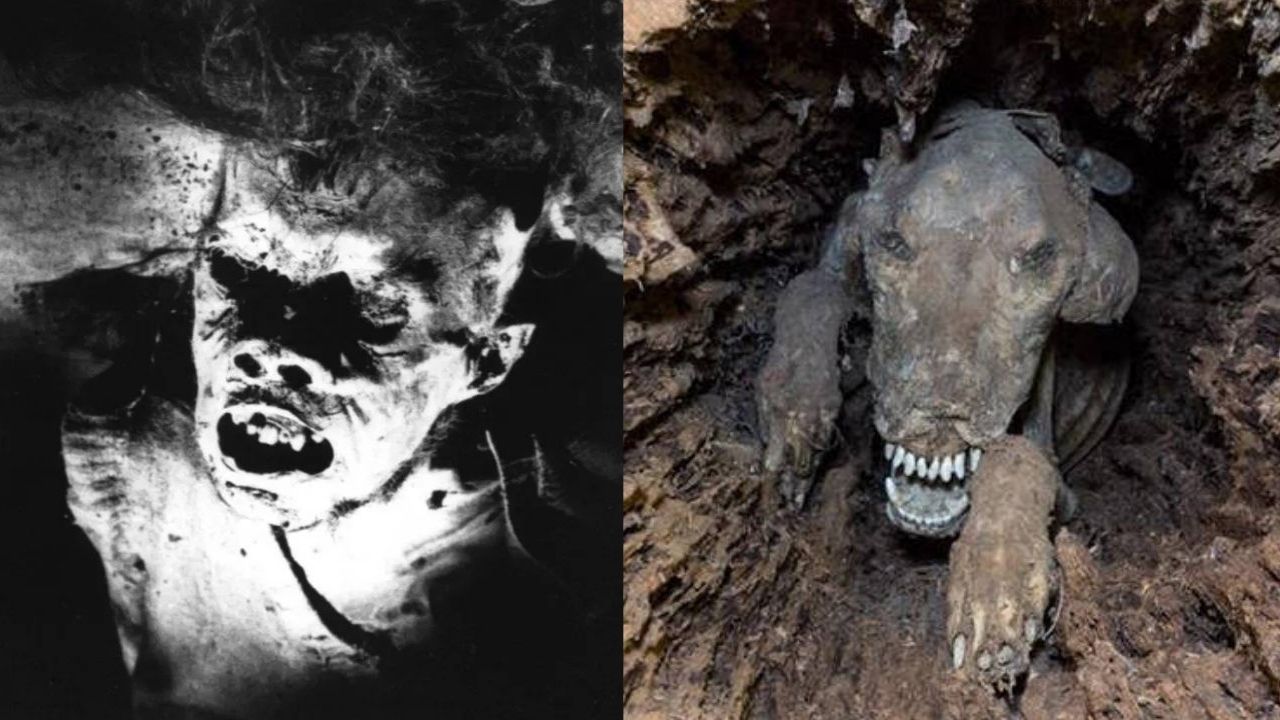 Encontrada no Pão de Açúcar e dentro de uma árvore: 5 múmias com histórias curiosas