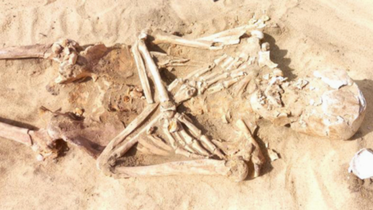 Múmias da era Ptolomaica são encontradas no Egito