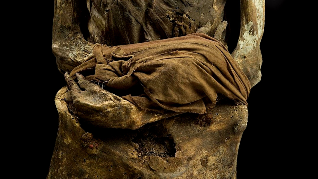 Farsa de 32 anos: a múmia de Sogen Kato, o homem mais velho de Tóquio