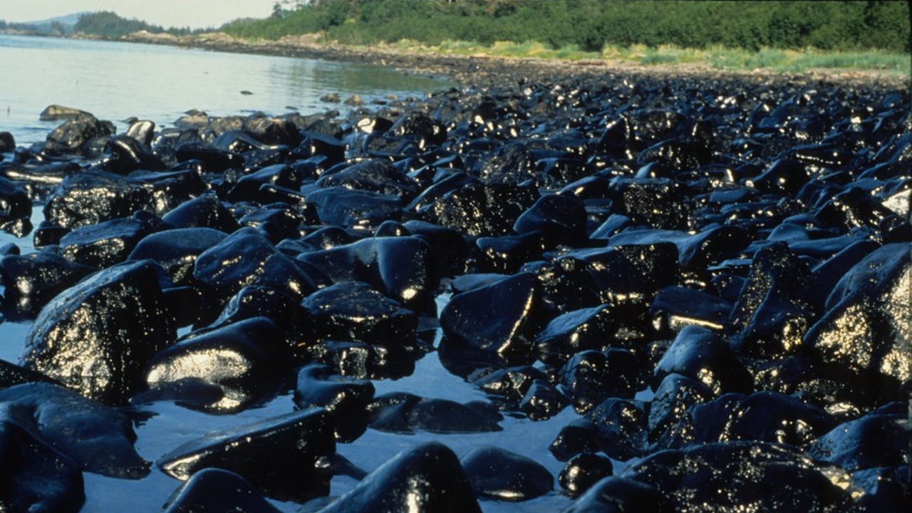 Exxon Valdez: neste dia, em 1989, acontecia um dos maiores desastres ecológicos da História
