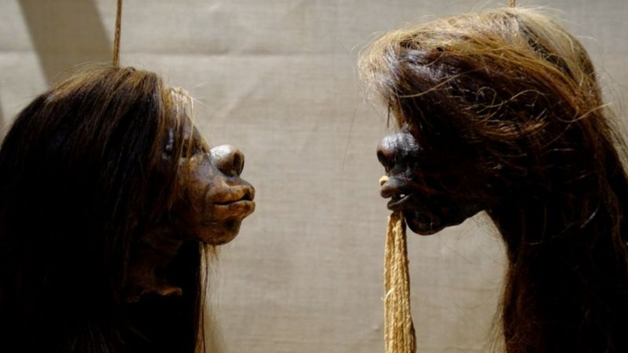 Museu Pitt Rivers irá retirar cabeças encolhidas para evitar estereótipos racistas