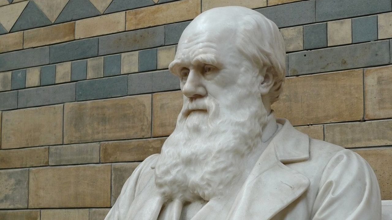 Exposição de Darwin foi considerada ofensiva por Museu de História Natural de Londres