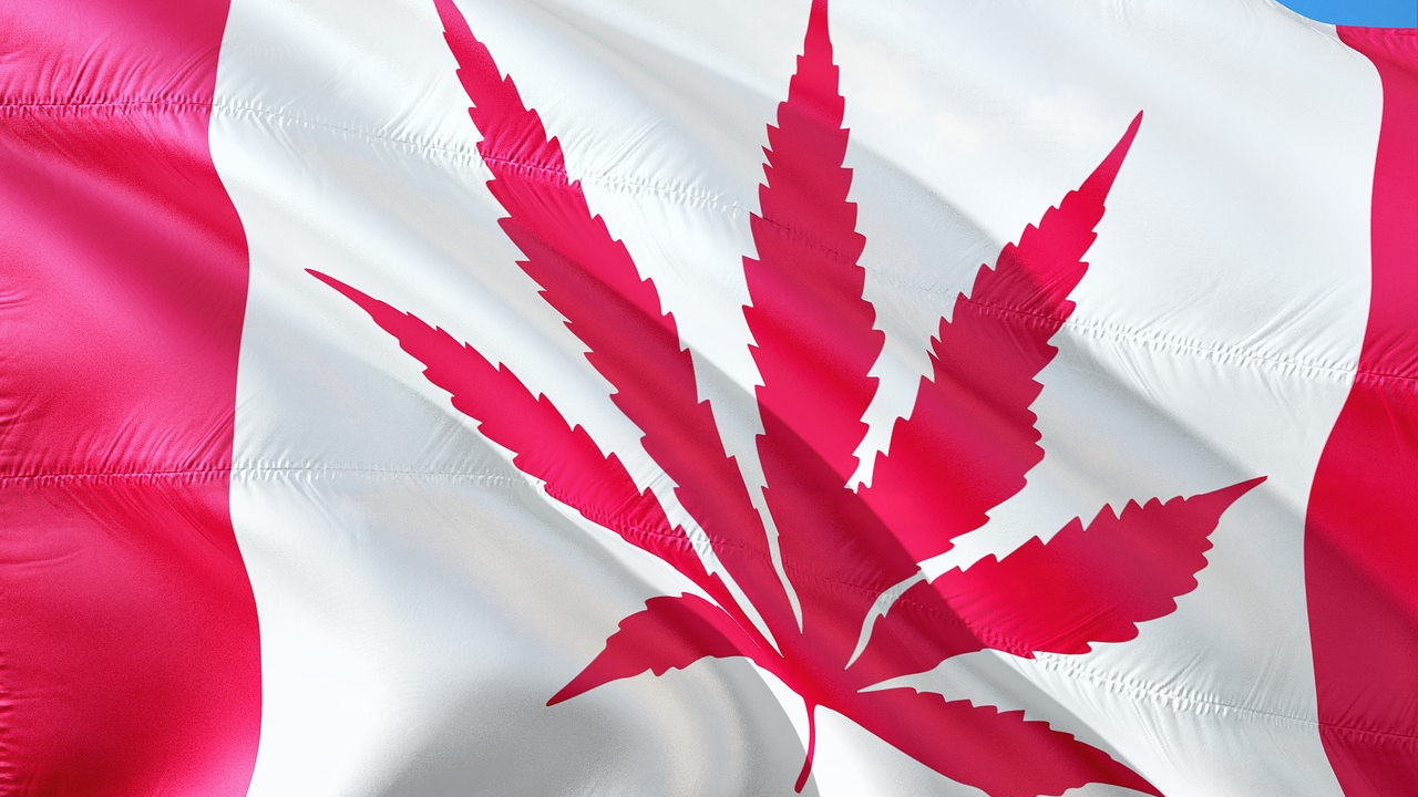 Québec vê aumento nas vacinações após restrição de álcool e maconha