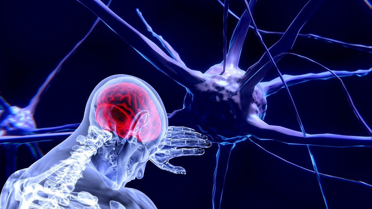 Ciência que revelou a busca da filosofia: a história da neurociência