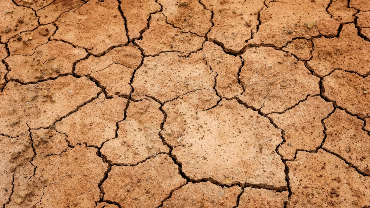 Seca transforma Jardim do Éden, no Iraque, em deserto