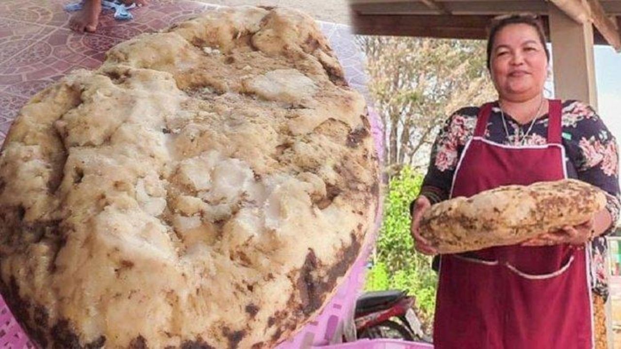 Tailandesa encontra bloco de 7 kg de vômito de baleia avaliado em R$ 1,4 milhão