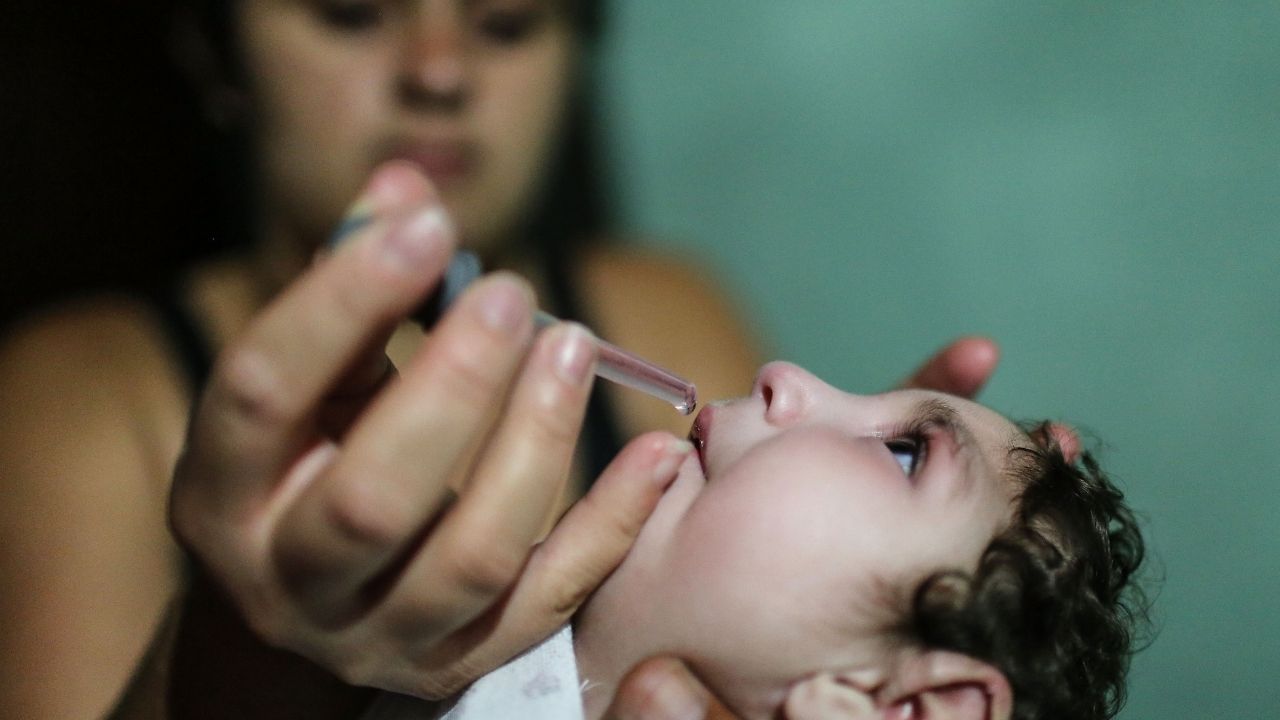 Cientistas alertam sobre possibilidade de novo surto de zika vírus