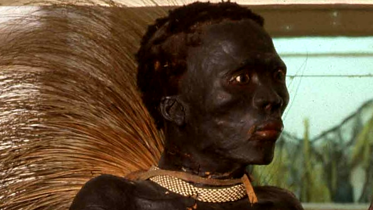 Museu Verreaux: O filho da África empalhado