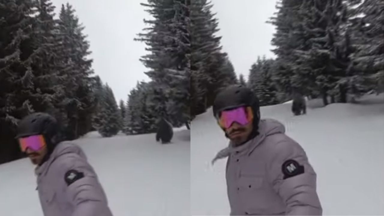 DJ Alok compartilha vídeo sendo perseguido por urso