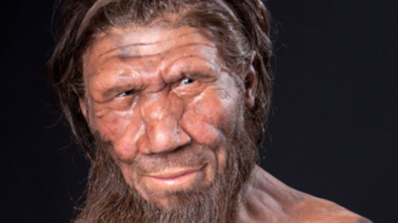Arqueólogos lançam novas suspeitas sobre a aniquilação dos Neandertais