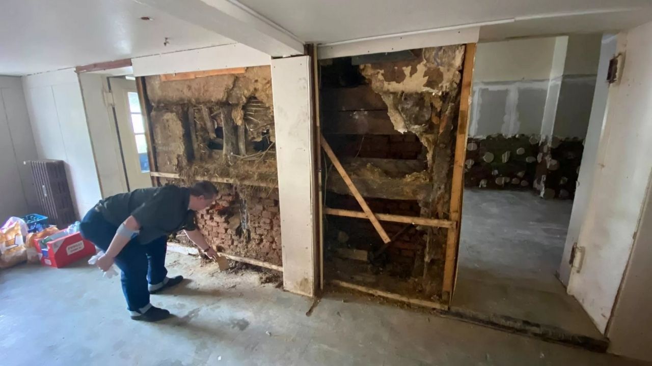 Veja imagens da descoberta de itens nazistas feita por professor em casa