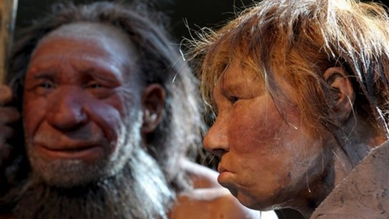 Análise evolutiva de dentes de neandertais indicam divergência bem mais antiga com os seres humanos