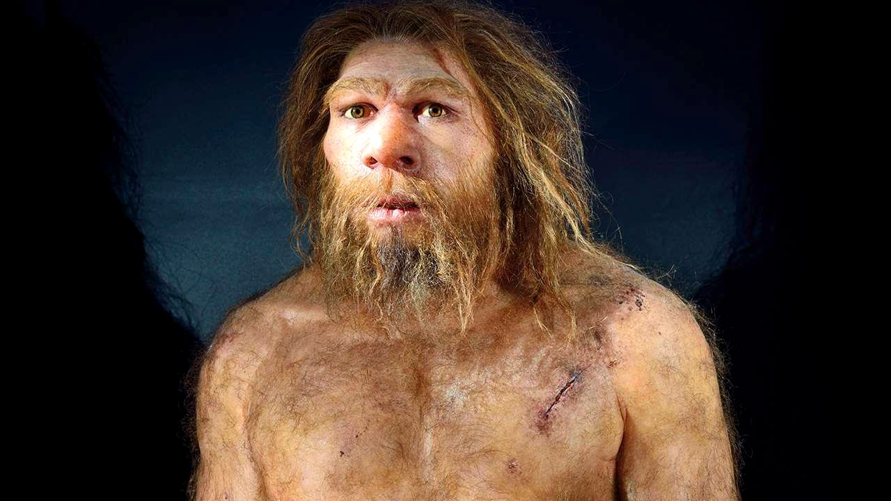 Redução da taxa de fertilidade levou os Neandertais a extinção, indica estudo