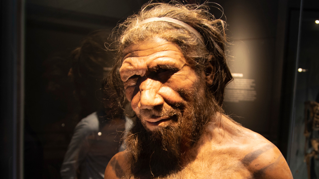 Impressionantes análises em dentes sugerem sexo entre neandertais e o Homo Sapiens