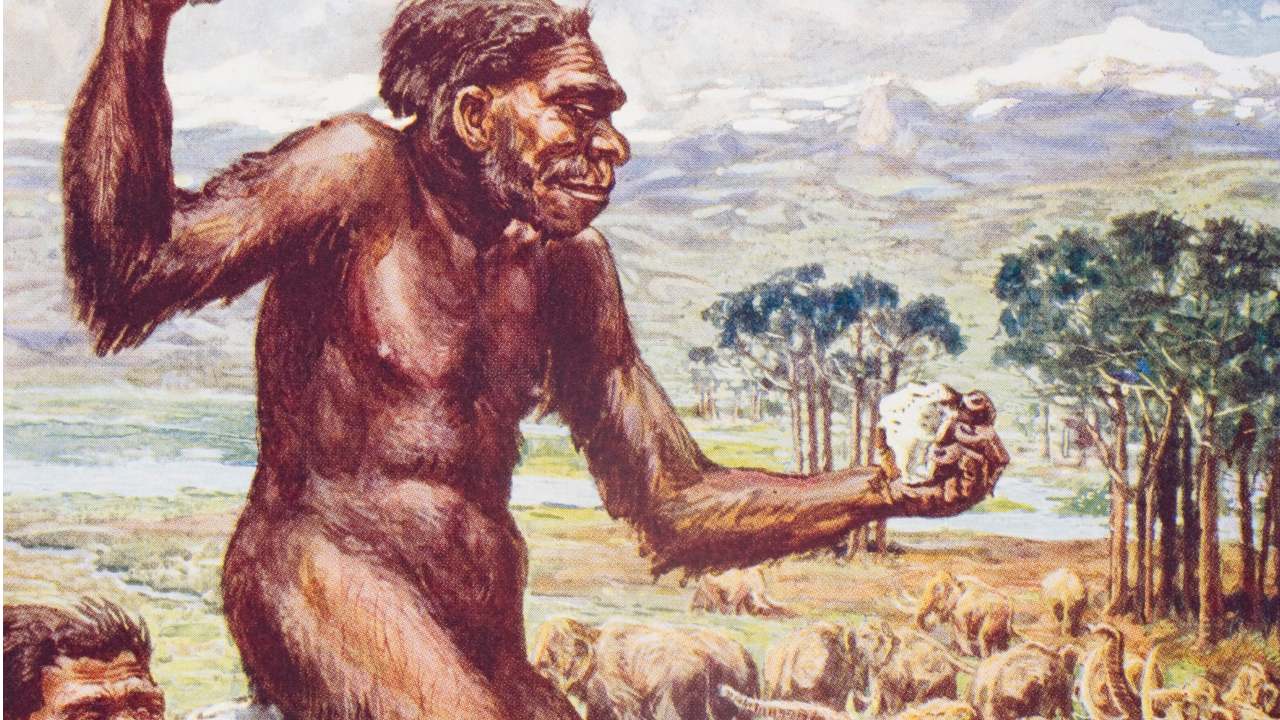 Mudança climática fez com que neandertais praticassem canibalismo por puro desespero