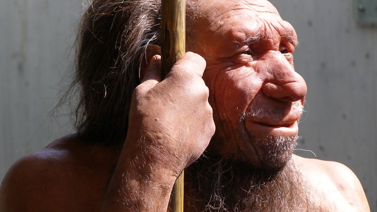 Doença comum em crianças pode ter sido responsável pela extinção dos neandertais