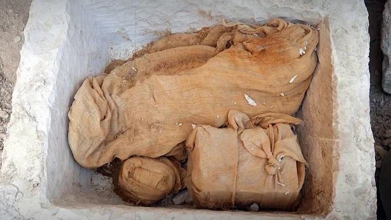 Baú com restos sacrificais de 3.500 anos pode revelar a tumba do faraó Tutmés II
