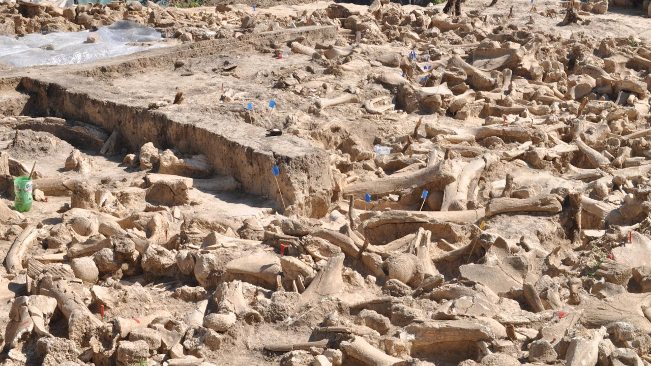 Misterioso círculo de ossos de mamute, de 20 mil anos, intriga arqueólogos