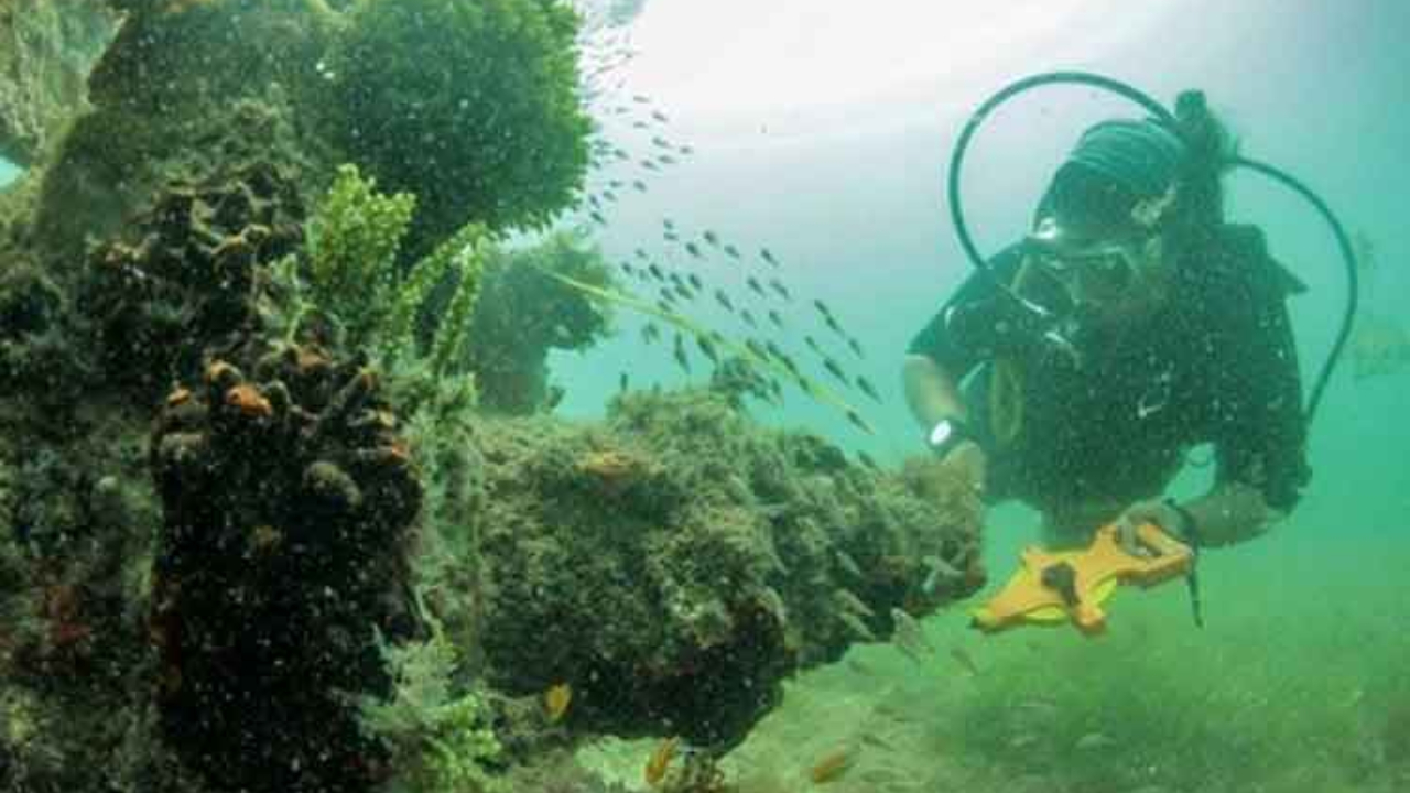 Arqueólogos se preparam para encontrar o maior tesouro em naufrágio espanhol da História