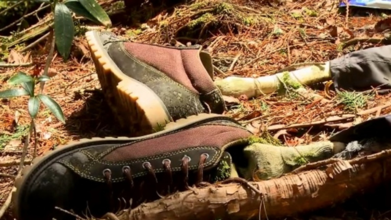 Oakigahara, a triste história da floresta do suicídio no Japão