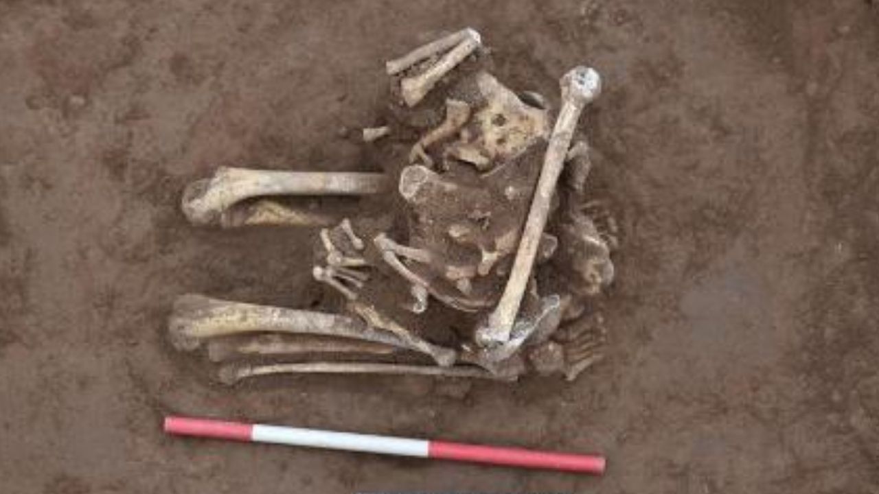 Raríssimas ossadas encontradas na China comprovam ocorrência de sacrifícios humanos