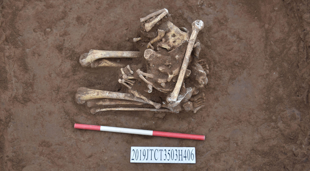 Na China, arqueólogos encontram ossos de indivíduo decapitado da dinastia Shang