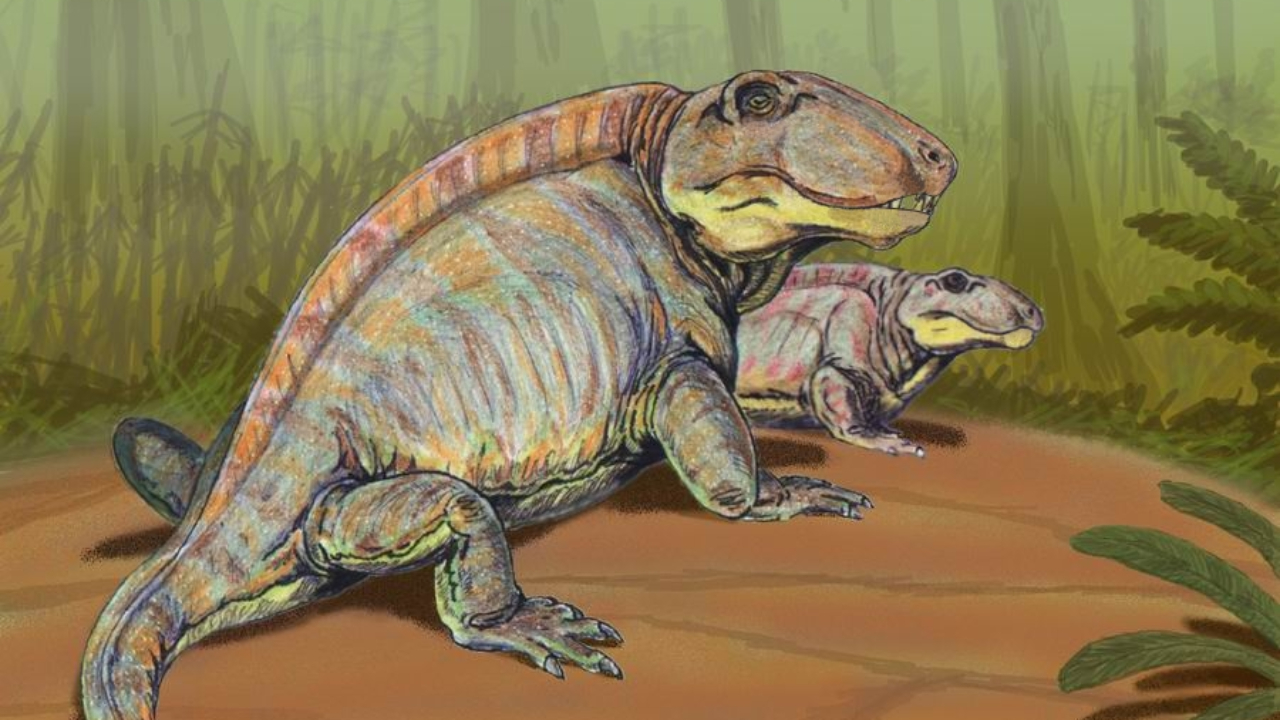 Maior extinção da história pode ter influenciado a evolução de animais