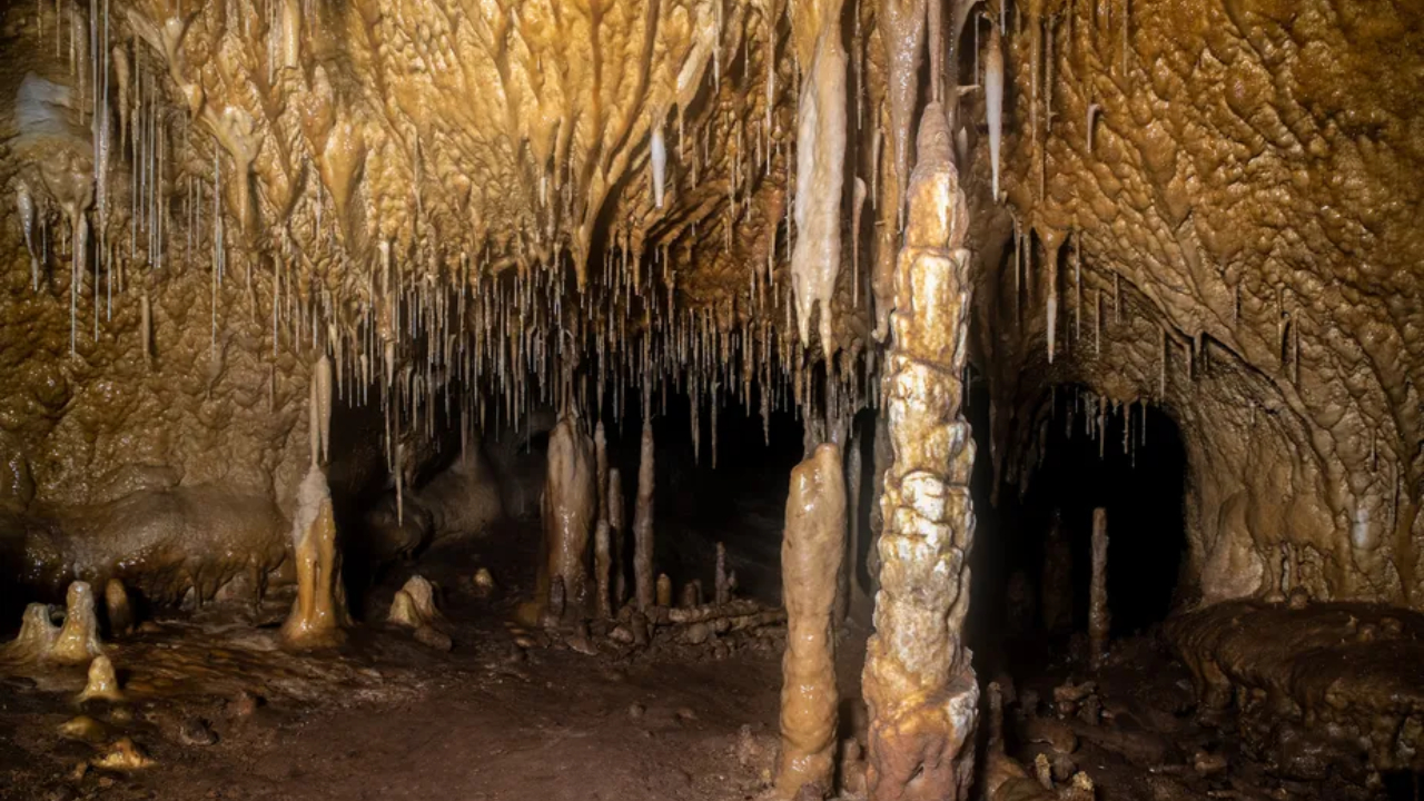 Caverna com vestígios de animais pré-históricos é descoberta na Espanha