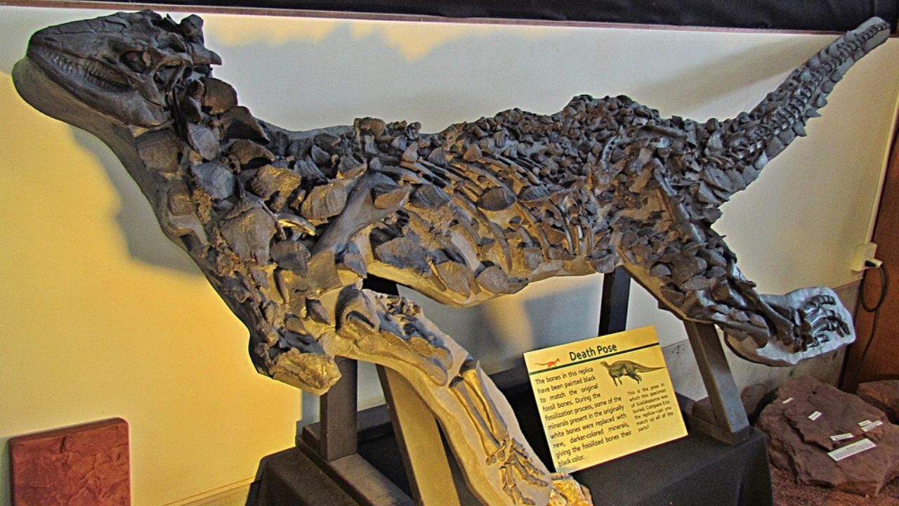 Pesquisadores revelam novidades sobre fóssil de dinossauro encontrado em 1850