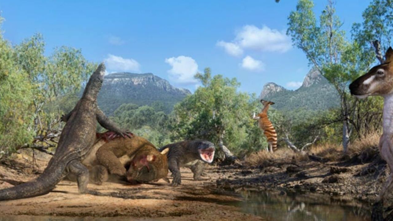 Paleontólogos descobrem novas evidências sobre megafauna na Austrália