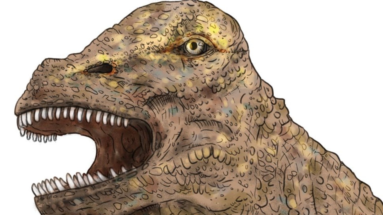 Fóssil de 95 milhões de anos sugere que dinossauros migravam entre continentes