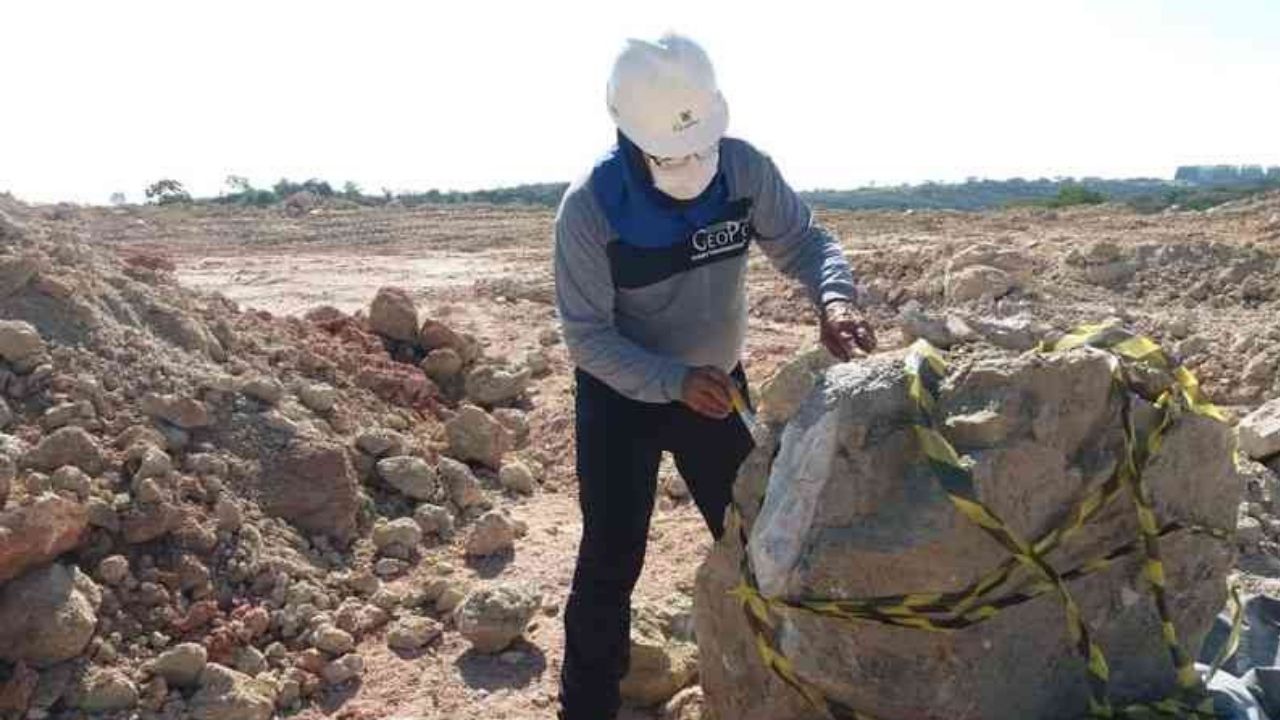 Município mineiro é palco para achado impressionante envolvendo fósseis de dinossauro