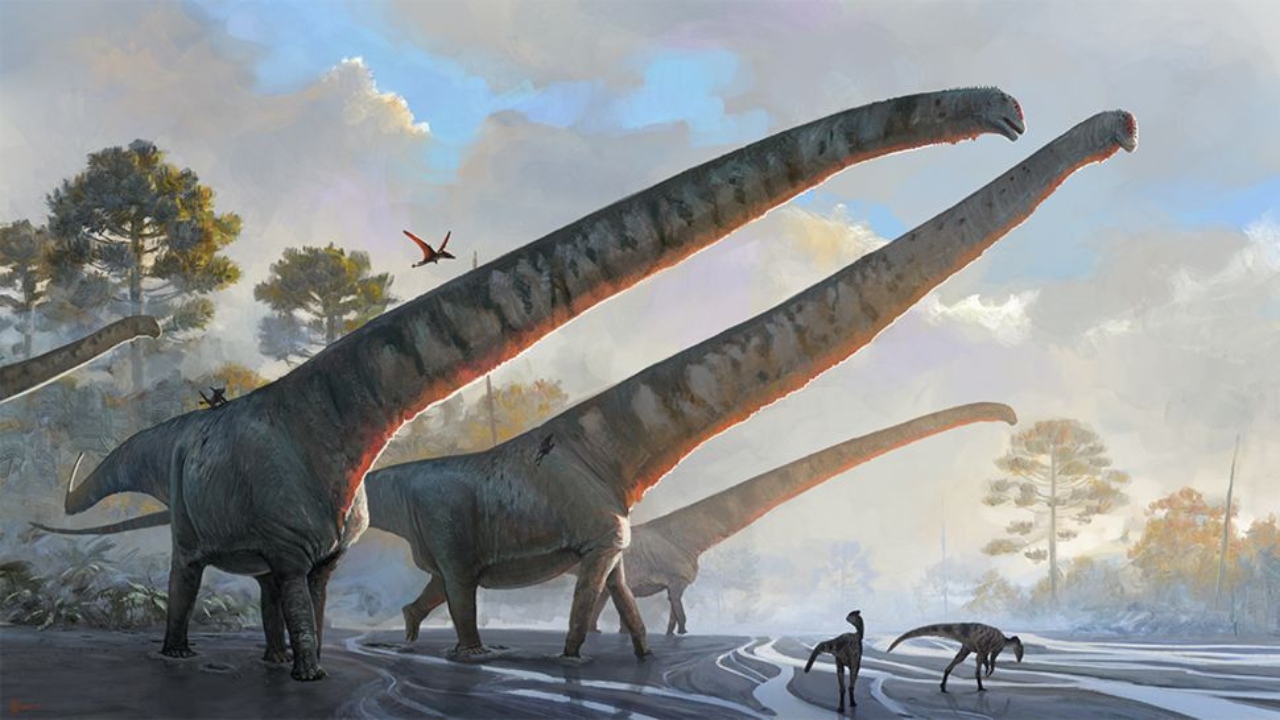 Maior pescoço de dinossauro tinha tamanho de ônibus com seus quase 15 metros
