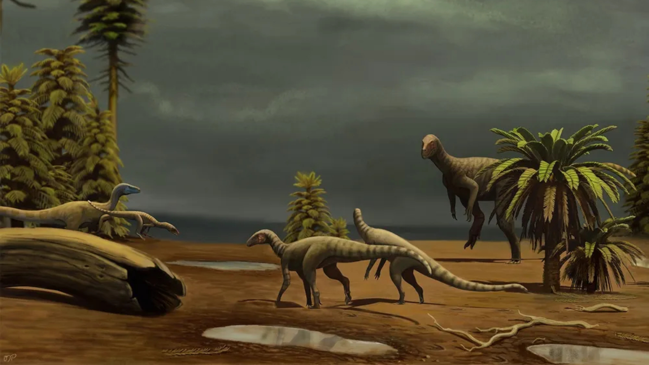 Nova descoberta no RS preenche lacuna sobre origem dos dinossauros